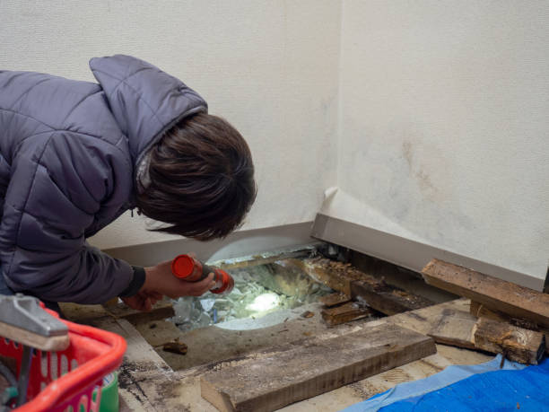 Best Real Estate Mold Inspection  in Quarryville, PA